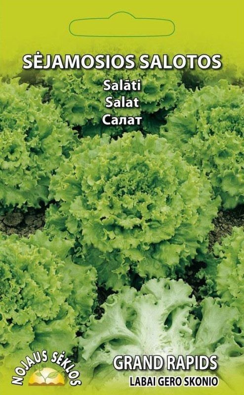 Sėjamųjų salotų GRAND RAPIDS sėklos, 1 g