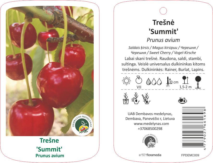 Vaismedis trešnė SUMMIT, lot. PRUNUS AVIUM-0