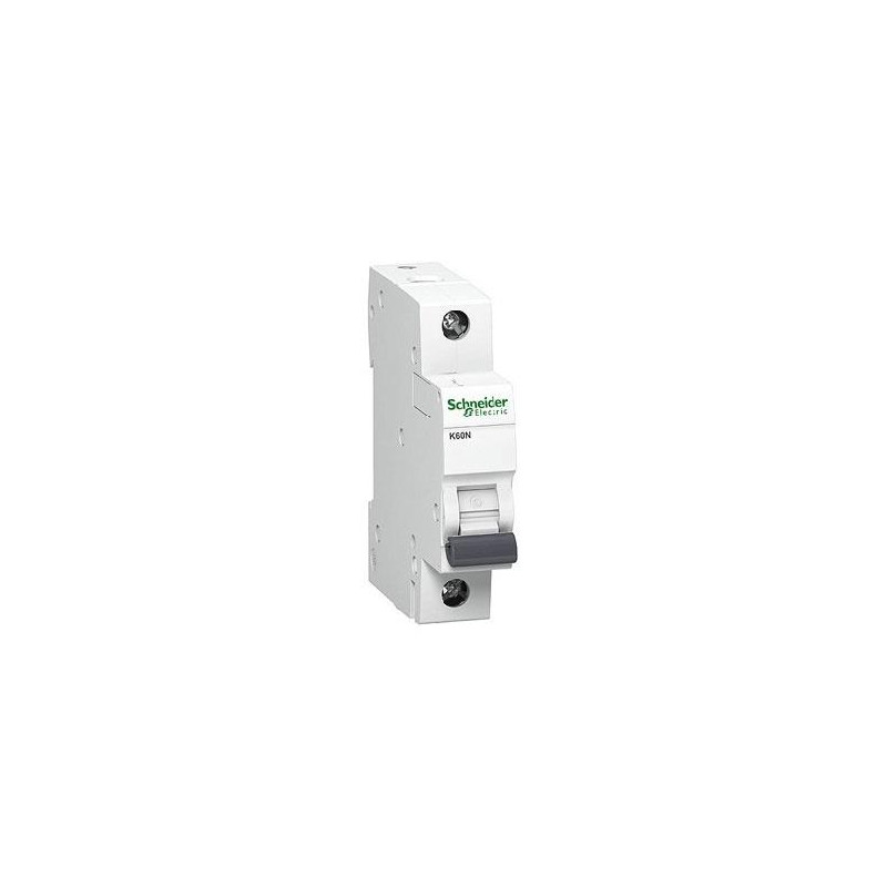 Automatinis jungiklis SCHNEIDER, 1P, C, 4A; A9K02104-0