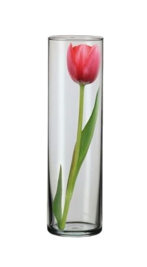 Stiklinė vaza, 8x28 cm
