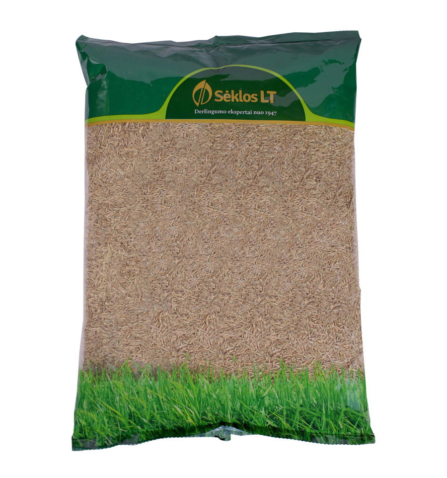Daugiamečių svidrių sėklos TEMPRANO, 1 kg-0