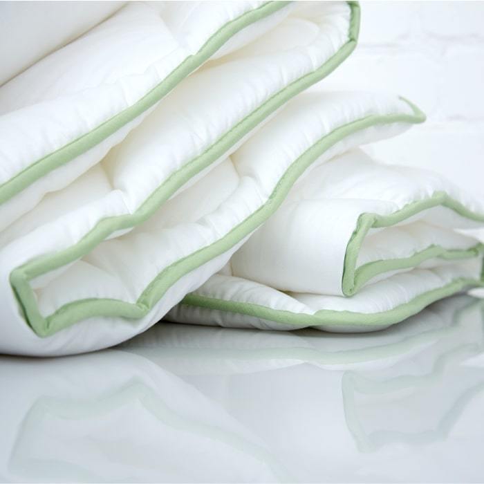 Antklodė ALOE VERA, 200 x 200 cm, 100% poliesteris, 300 g-1