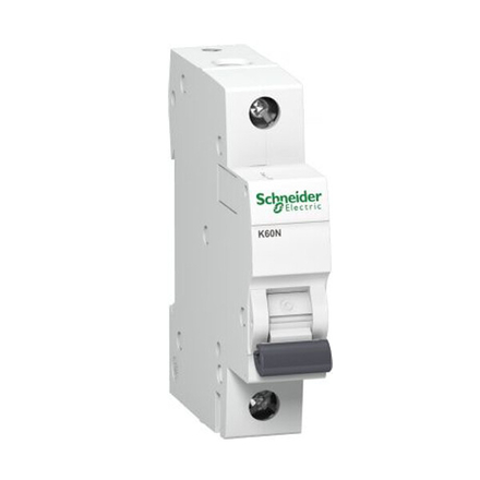 Automatinis jungiklis SCHNEIDER, 1P,C, 10A; A9K02110-0
