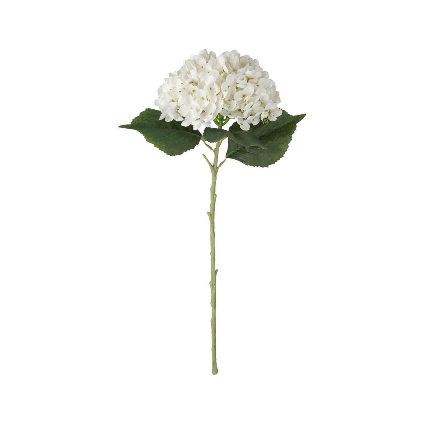 Dirbtinė gėlė ILAJA, 4 spalvų, 50 cm-1