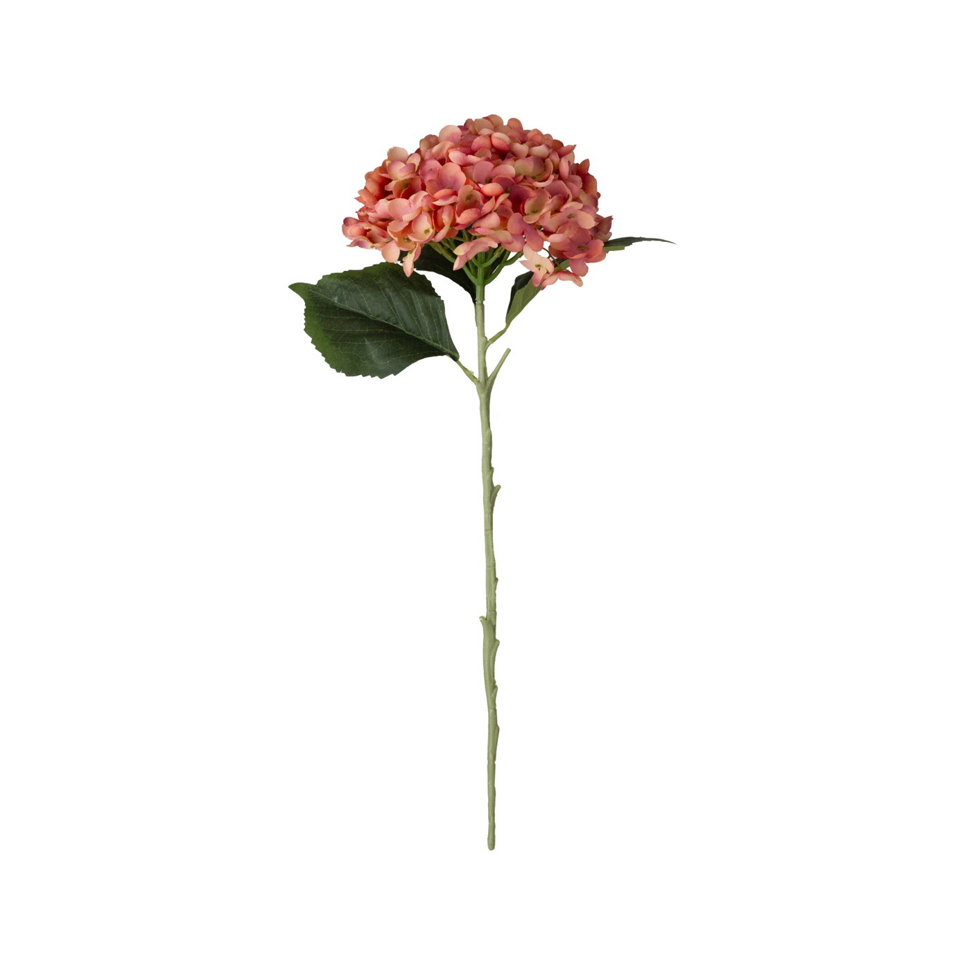 Dirbtinė gėlė ILAJA, 4 spalvų, 50 cm - 4