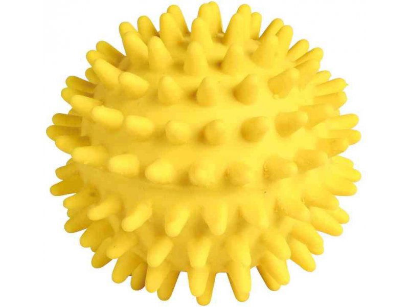 Šunų žaislas kamuoliukas TRIXIE, spygliuotas, 7 cm,-1