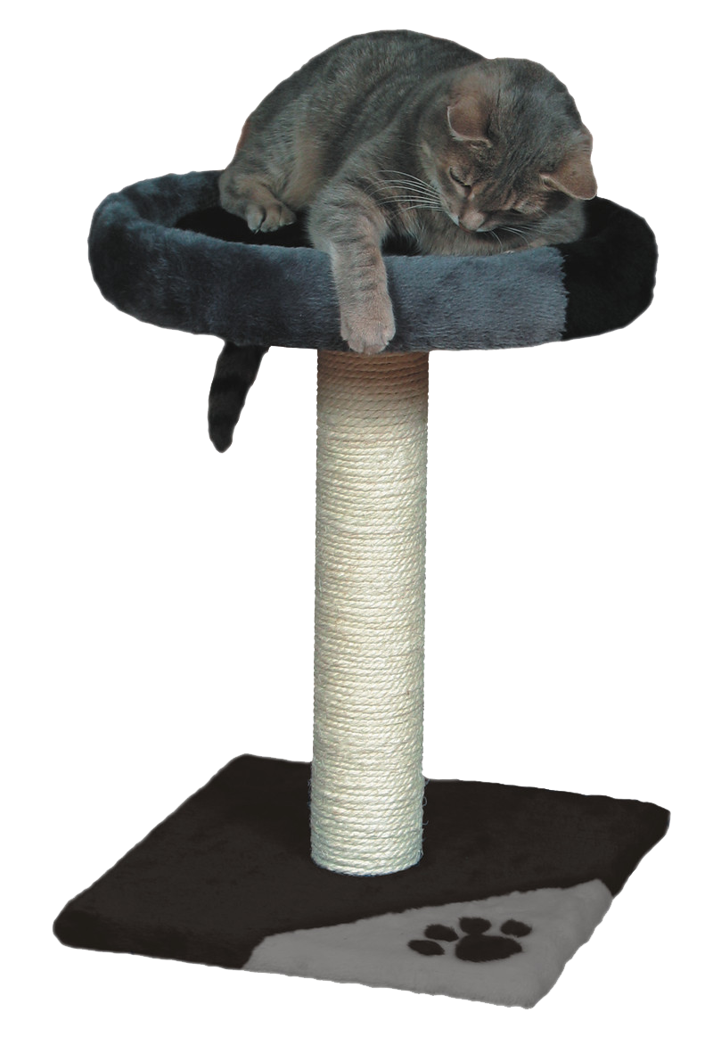 Draskyklė katėms TARIFA - juodos spalvos, 52 cm