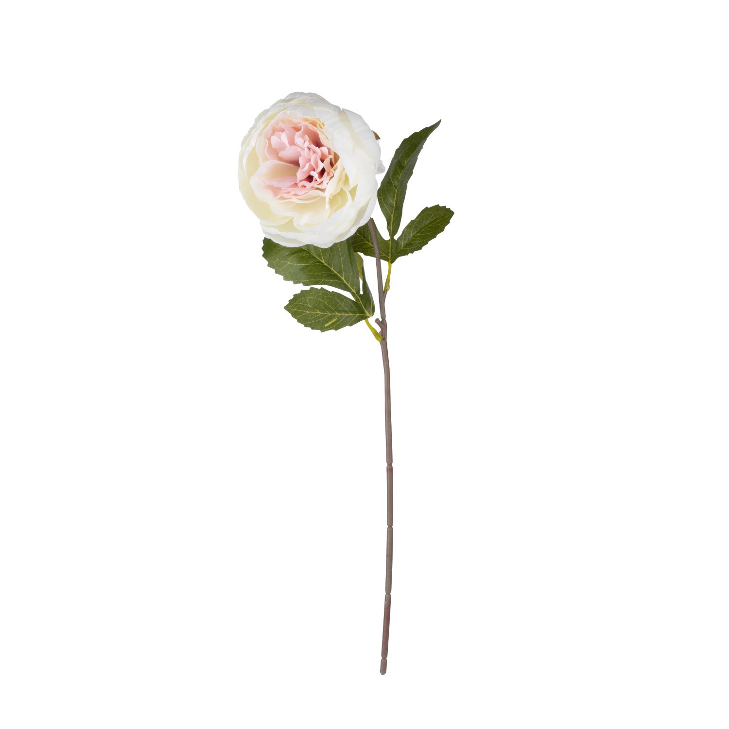 Dirbtinė gėlė ILAJA ROŽĖ, 4 spalvų, 45 cm - 3