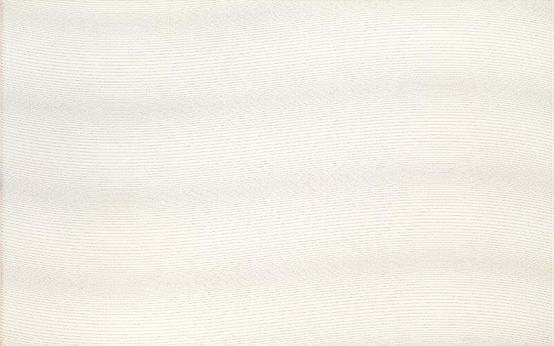 Keraminės sienų plytelės LIRA WHITE PS206, 25 x 40 cm