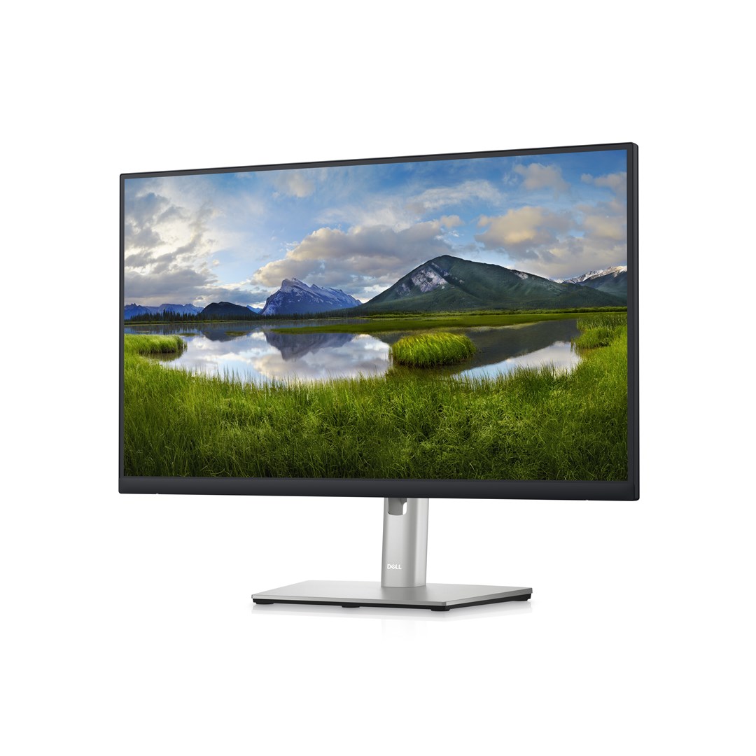 Monitorius Dell  P2423DE, 23.8", 8 ms-1