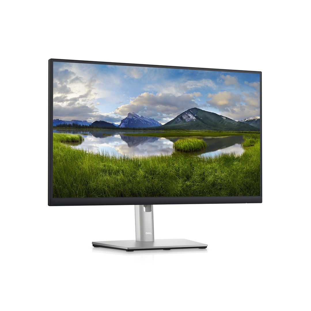 Monitorius Dell  P2423DE, 23.8", 8 ms - 3