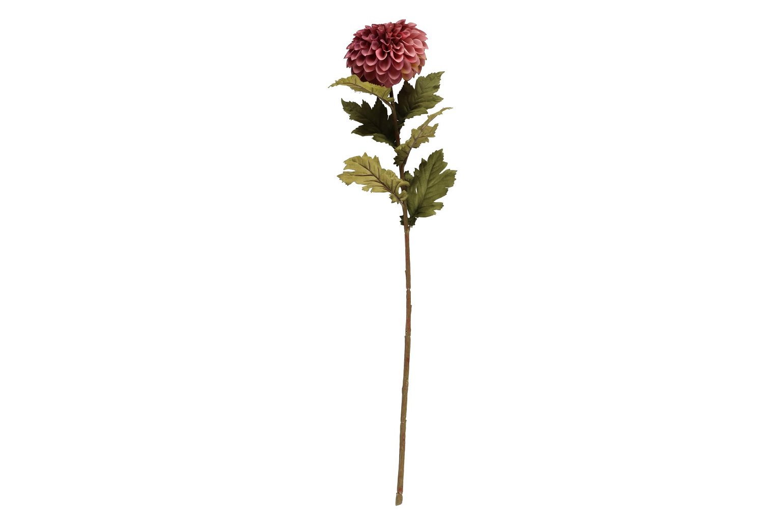 Dirbtinė gėle 4LIVING Dahlia, 2 rūšys, 75 cm - 5