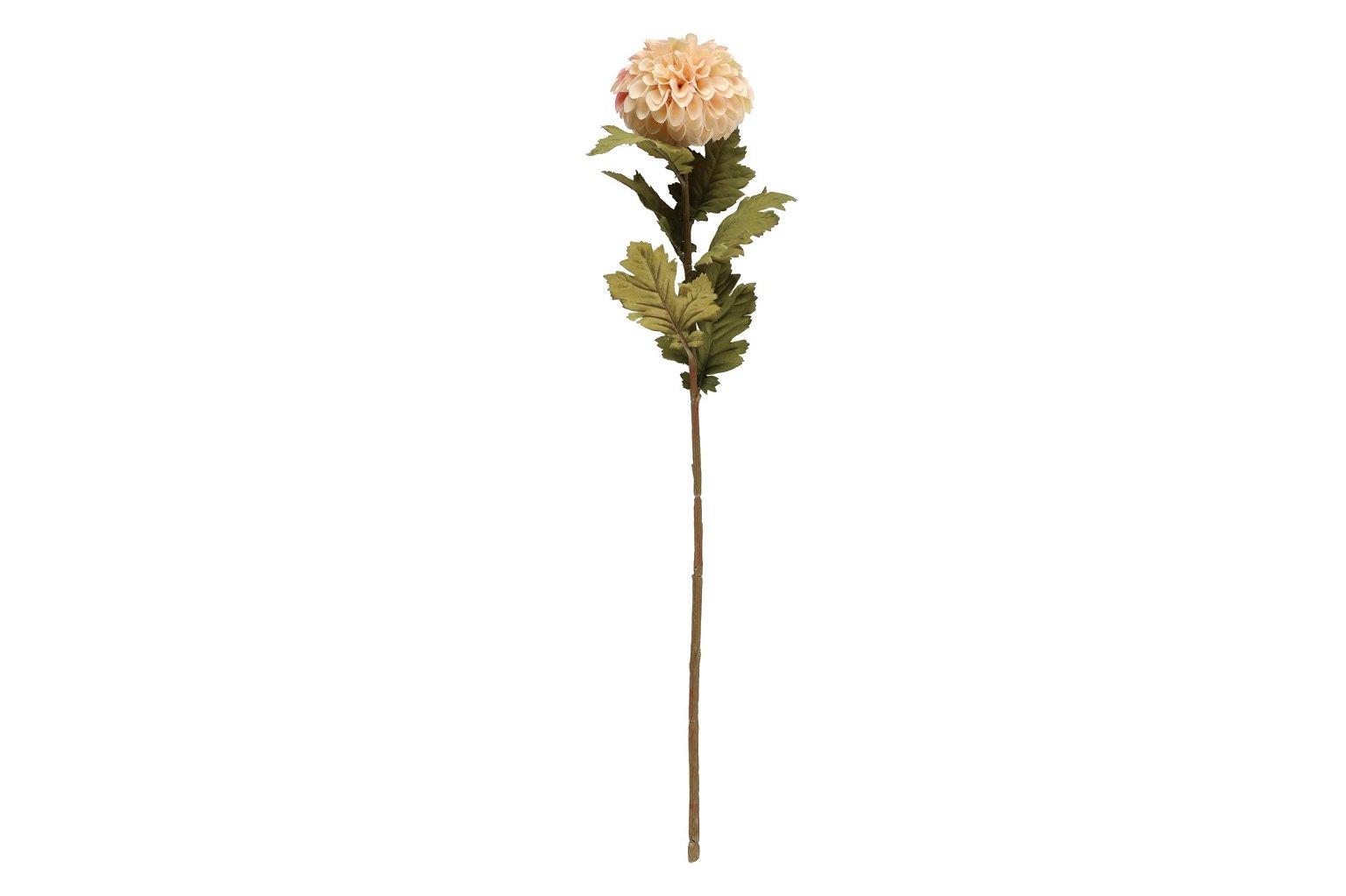 Dirbtinė gėle 4LIVING Dahlia, 2 rūšys, 75 cm - 4