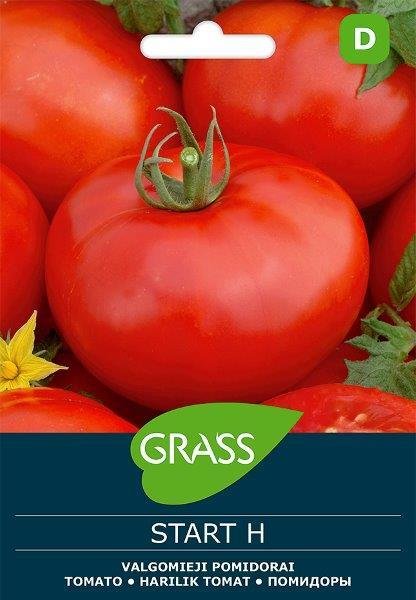 Pomidorų sėklos START H, 0,1 g