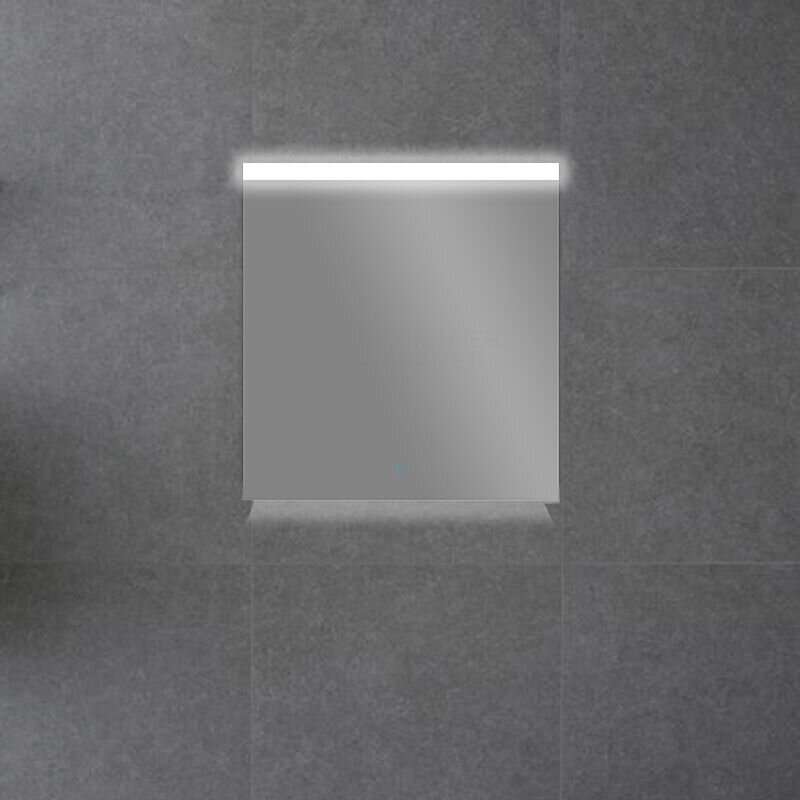 Veidrodis su LED apšvietimu CLASSIC 4558 58x80-1