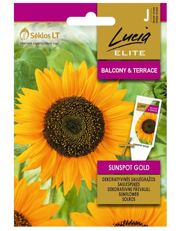 Dekoratyvinių saulėgrąžų sėklos SUNSPOT GOLD, 2 g