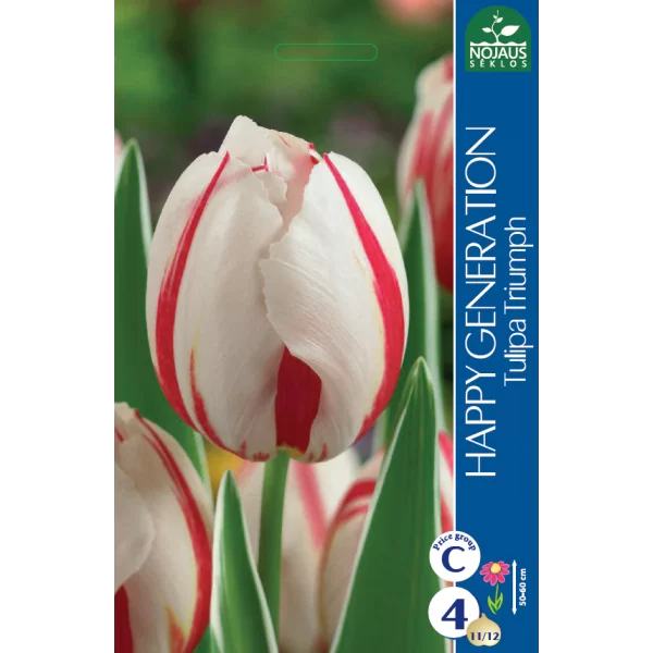 Tulpių svogūnėliai, lot. TULIPA HAPPY GENERATION, 4 vnt-0