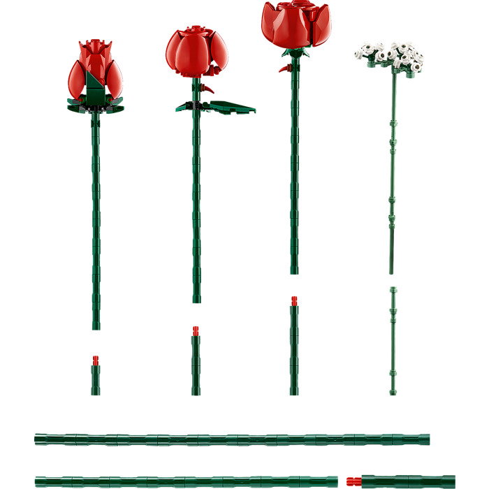 Konstruktorius LEGO Botanicals Bouquet of Roses - 5