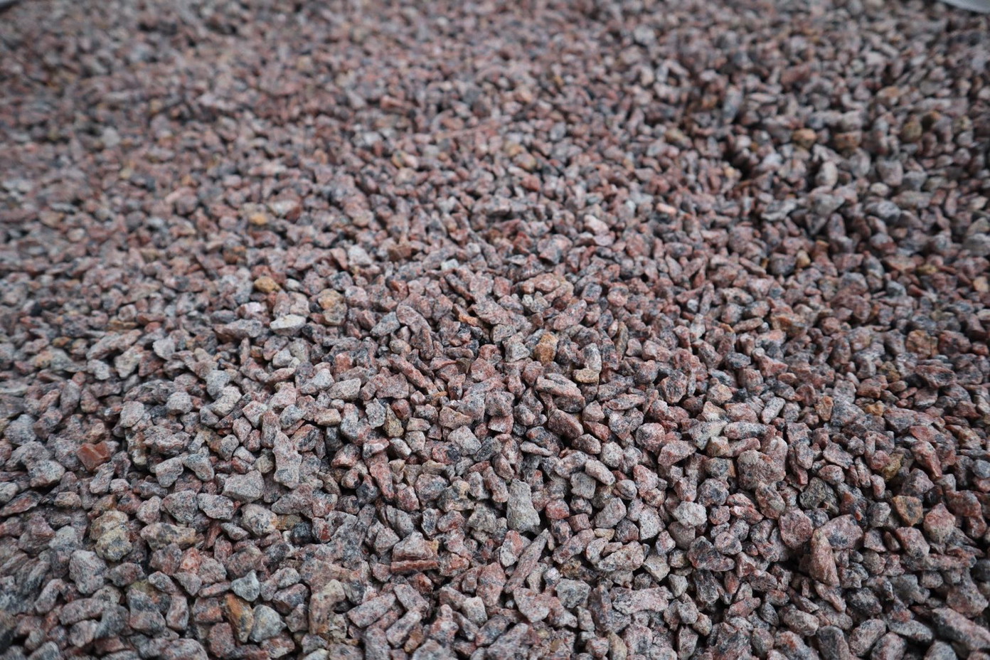 Skalda VANGA, raudonos sp., 8-11 mm, 20 kg-0
