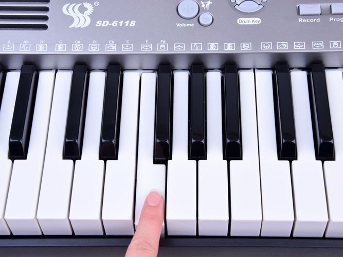 Vaikiškas pianinas su mikrofonu - SD-6118 - 8