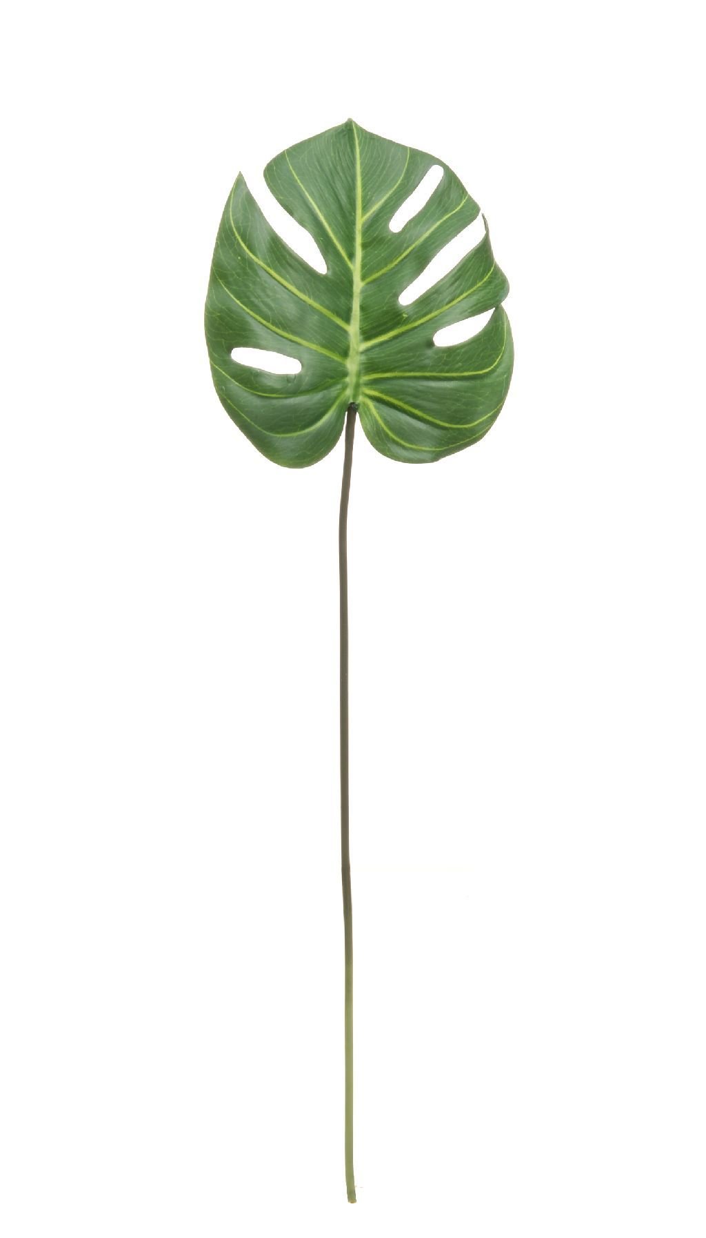 Dirbtinis augalas MONSTERA, žalios sp., 63 cm
