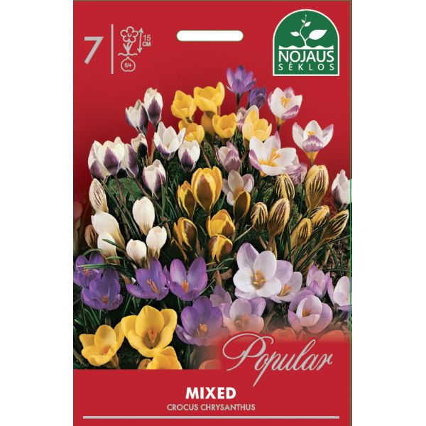 Įvairių krokų svogūnėliai, lot. CROCUS MIX 10 vnt.-0