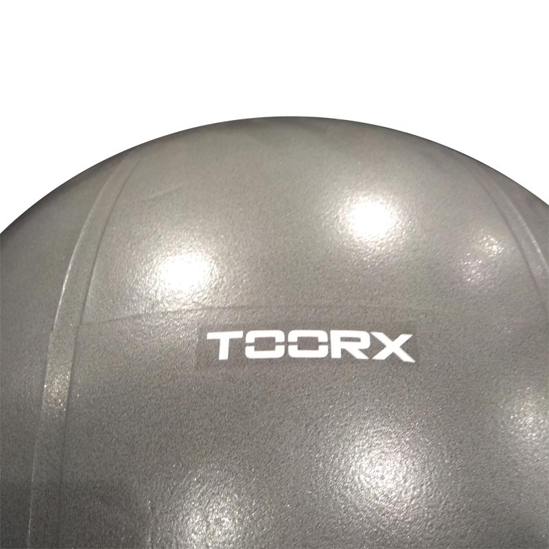 Gimnastikos kamuolys 65cm TOORX PRO AHF-148-1