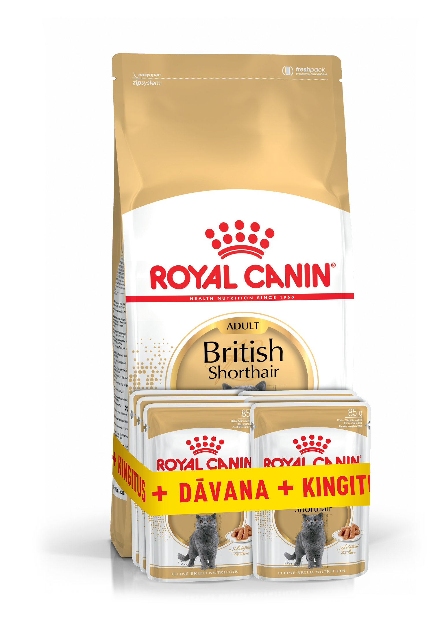 Sausas ėdalas britų trumpaplaukėms katėms ROYAL CANIN BRITISH SHORTHAIR, 2 kg+dovana 6 vnt