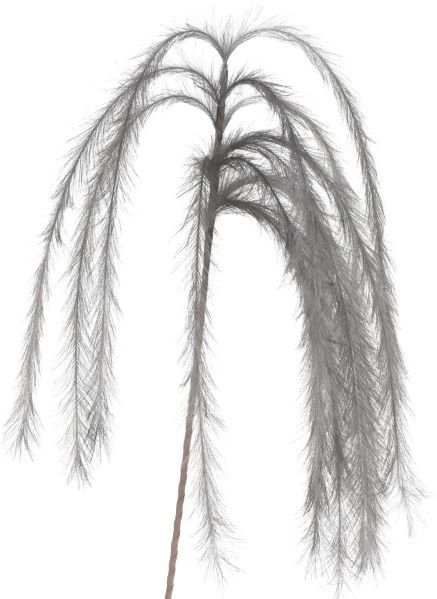 Dirbtinė šakelė FEATHERS, pilkos sp., 130 cm
