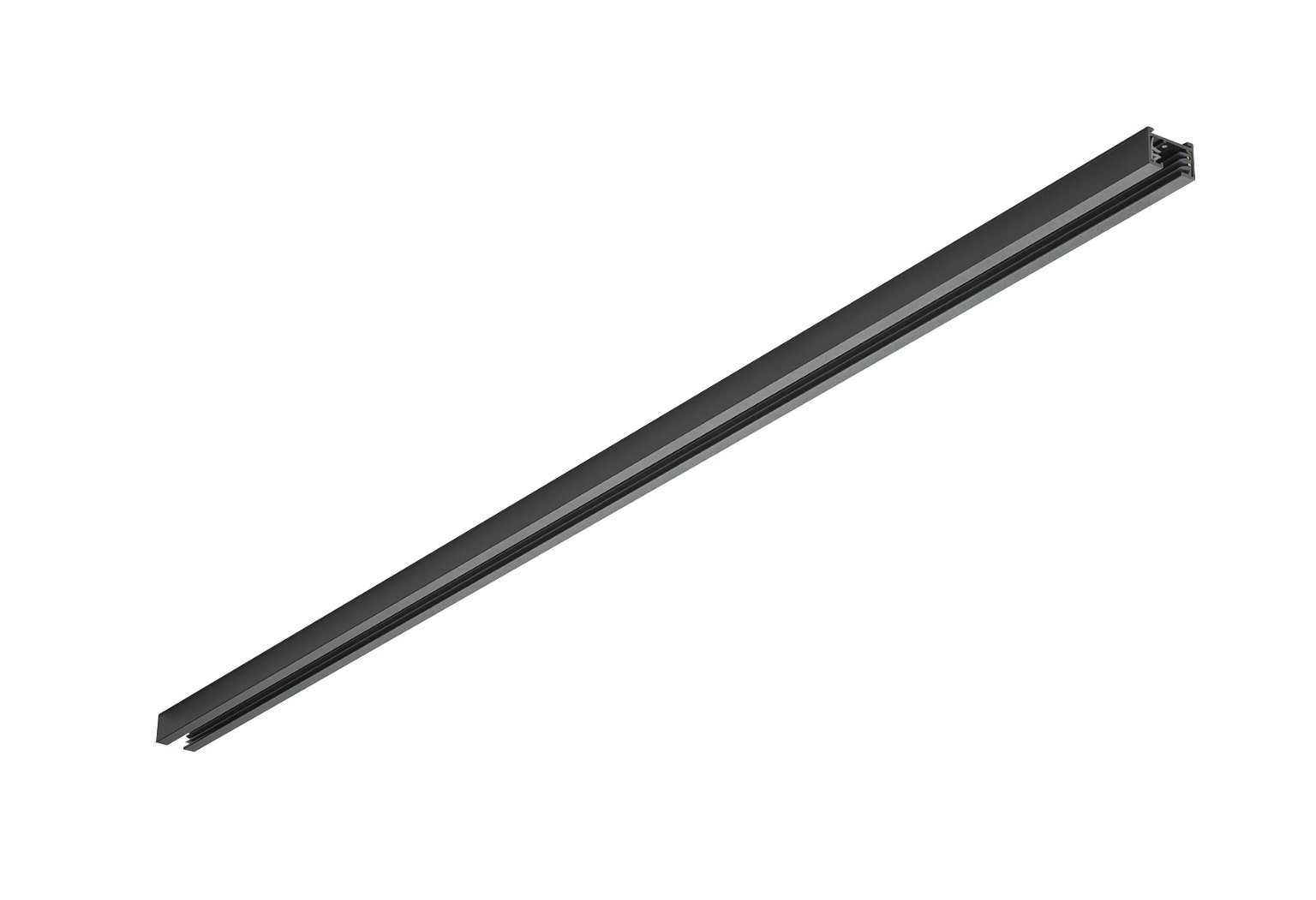 Šviestuvų bėgelis TRIO DUOline 2F, matinės juodos spalvos, 100 cm