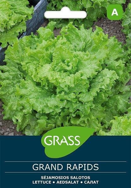 Lapinių salotų sėklos GRAND RAPIDS, 2 g