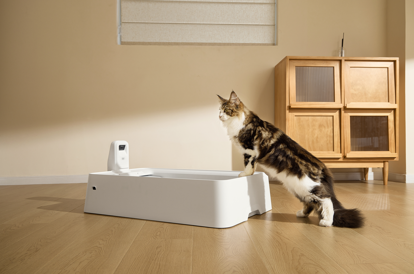 Automatinis savaime išsivalantis kačių kraiko dėžė Petkit Purobot Crystal Duo P9905, balta - 7