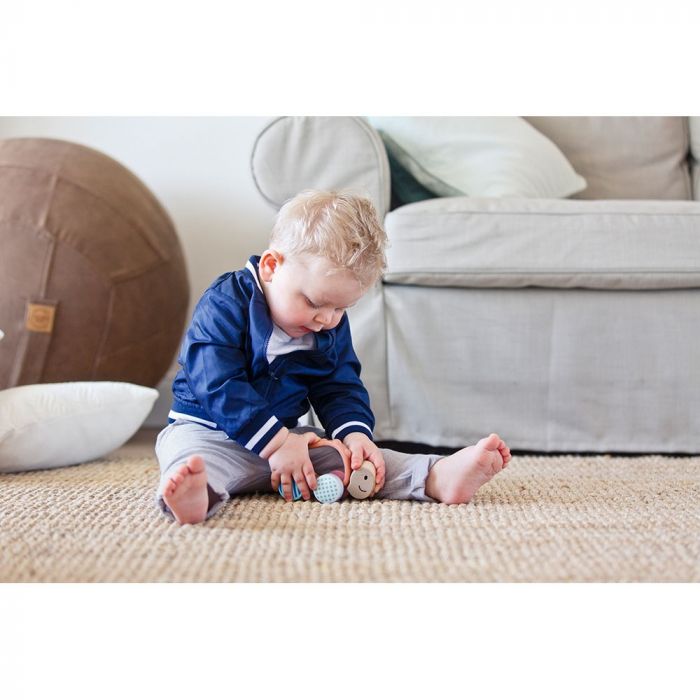 HAPE medinis žaislas Vėžlys, E8516B - 2