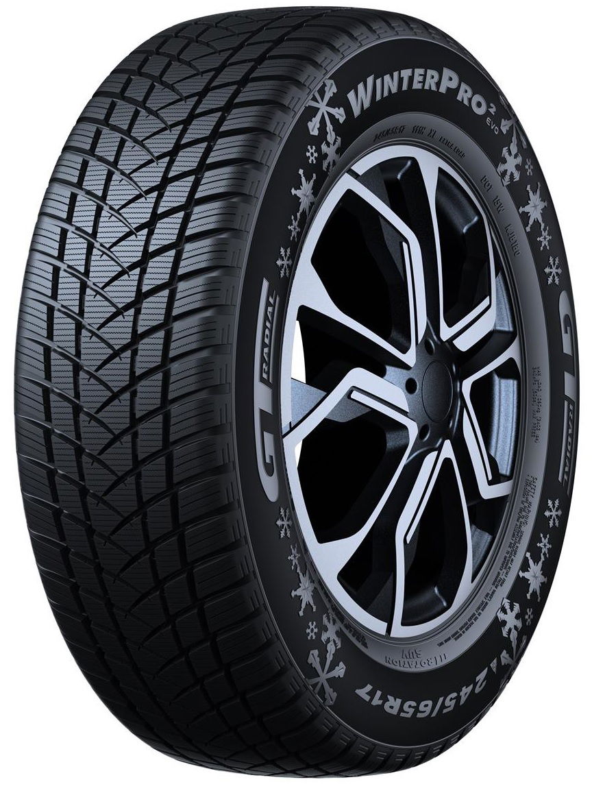 GT Radial Winterpro 2 Evo 195/65R15 91 H