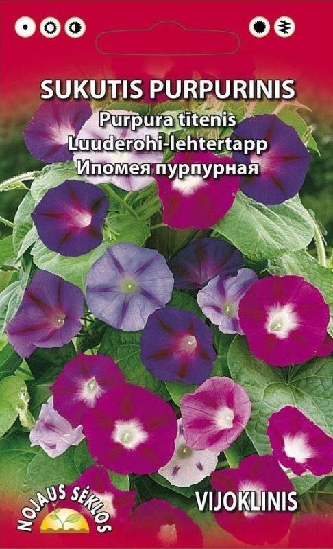Purpurinių sukučių sėklos, 2 g