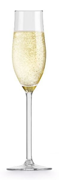 Taurės šampanui ROYAL LEERDAM Salta, 4 vnt., 190 ml - 2