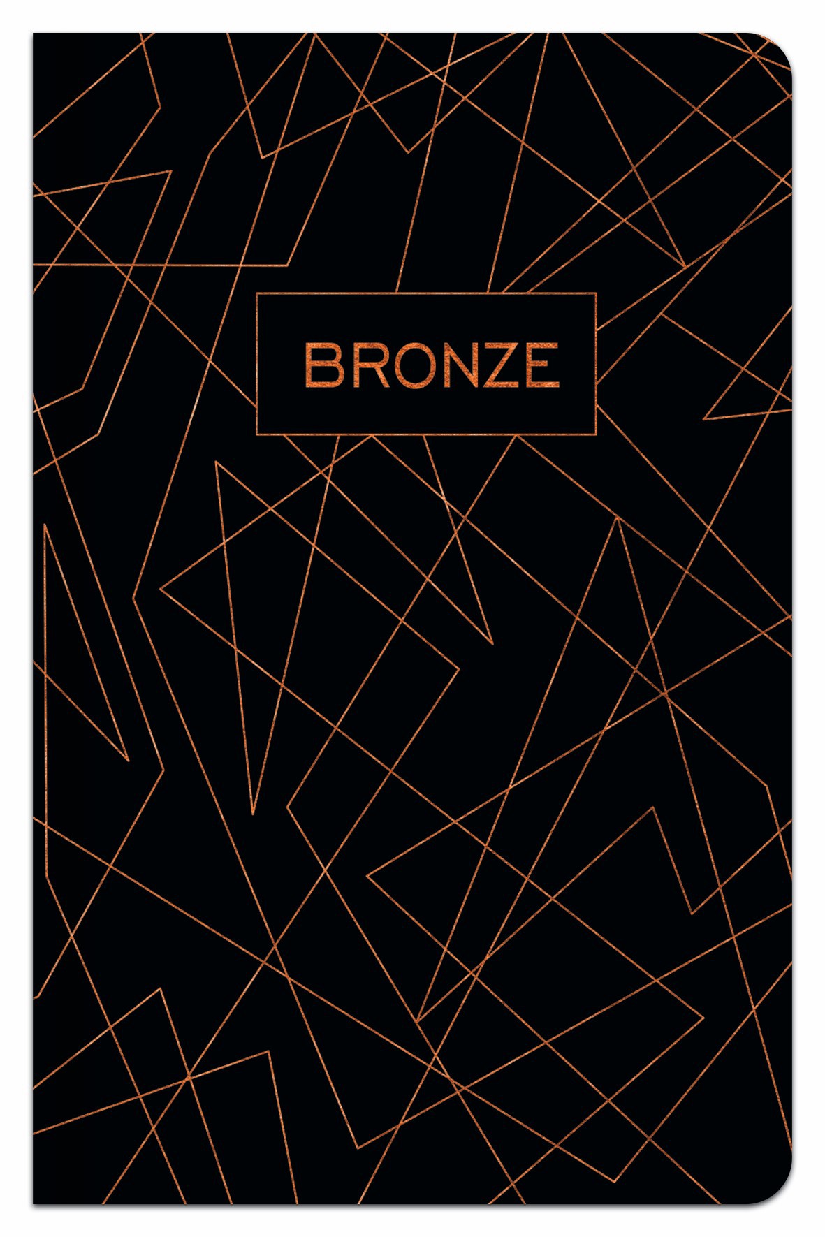 Užrašų knygutė langeliais A6 96 lapų BRONZE - 4