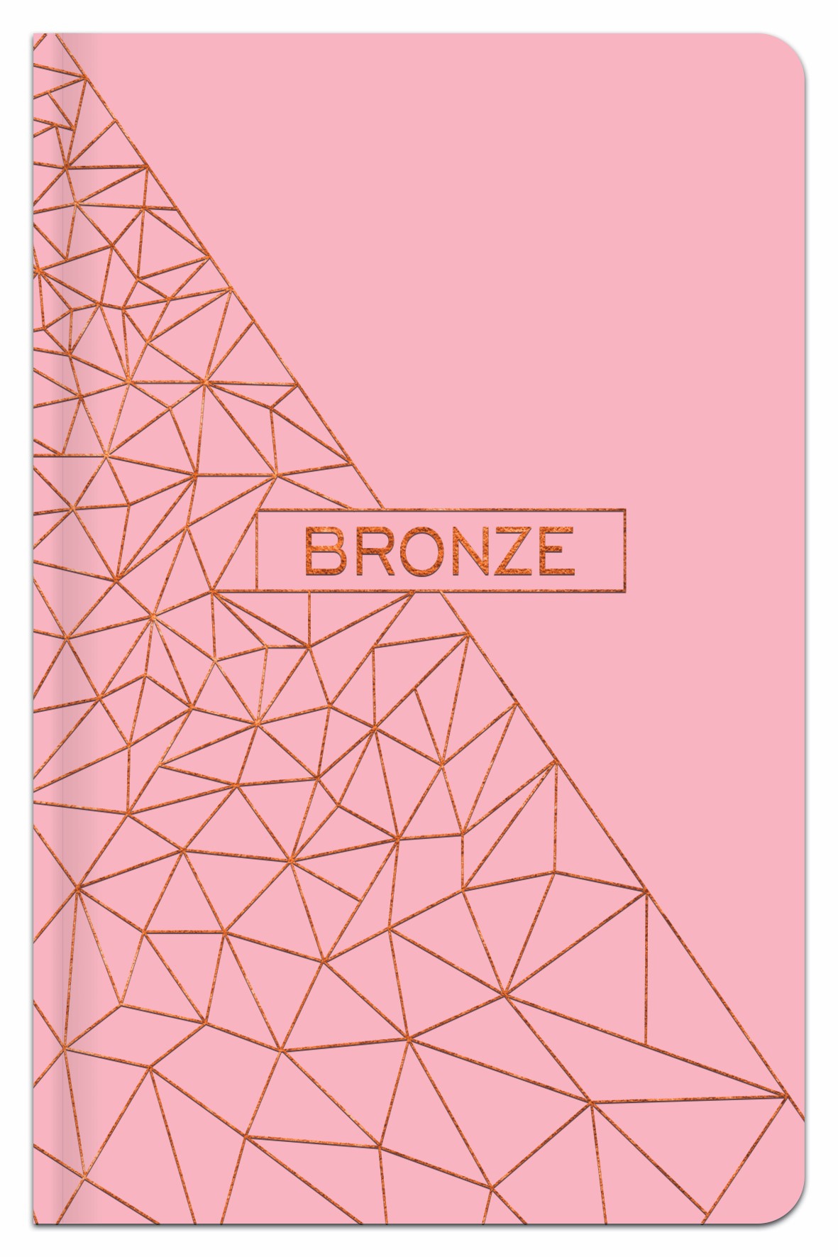 Užrašų knygutė langeliais A6 96 lapų BRONZE-0