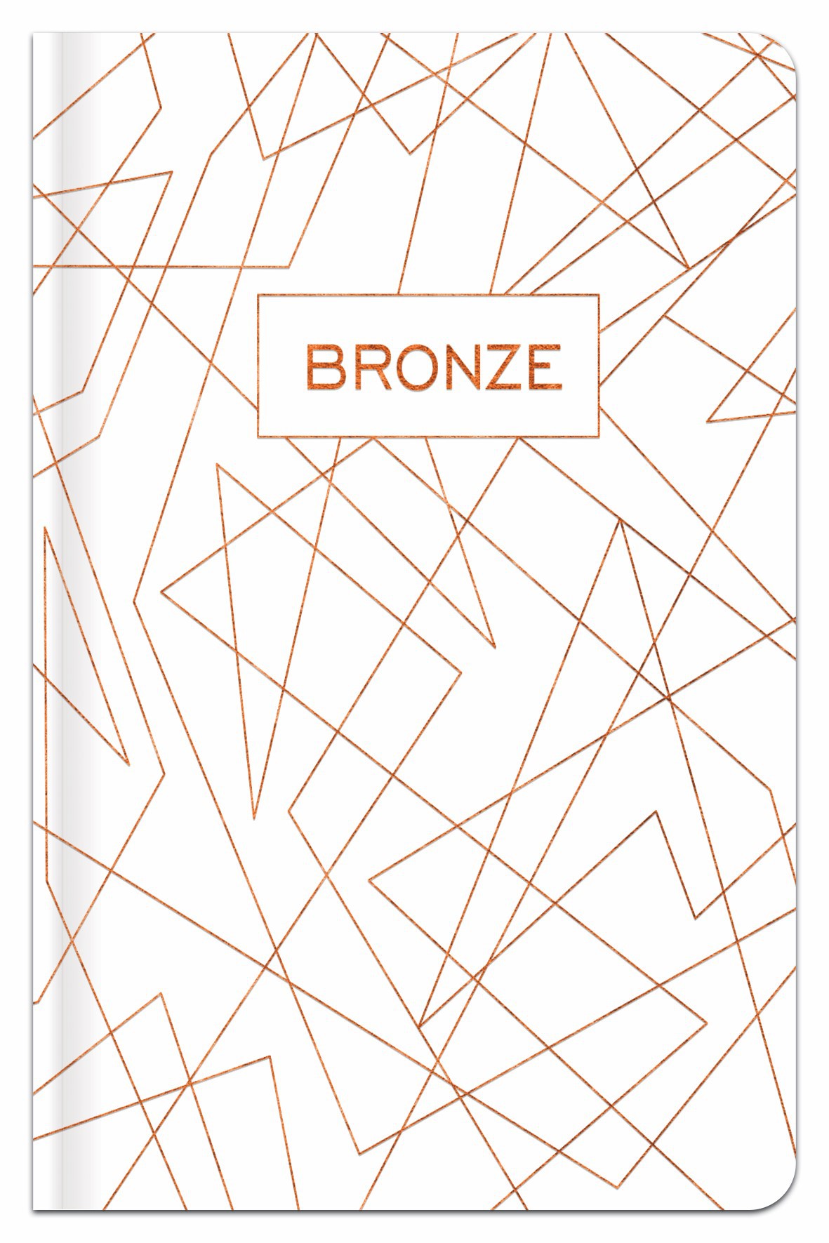 Užrašų knygutė langeliais A6 96 lapų BRONZE - 3