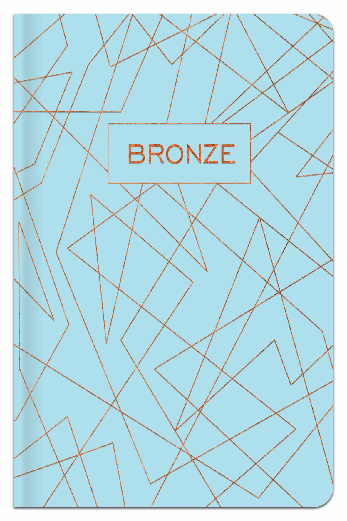 Užrašų knygutė langeliais A6 96 lapų BRONZE-1