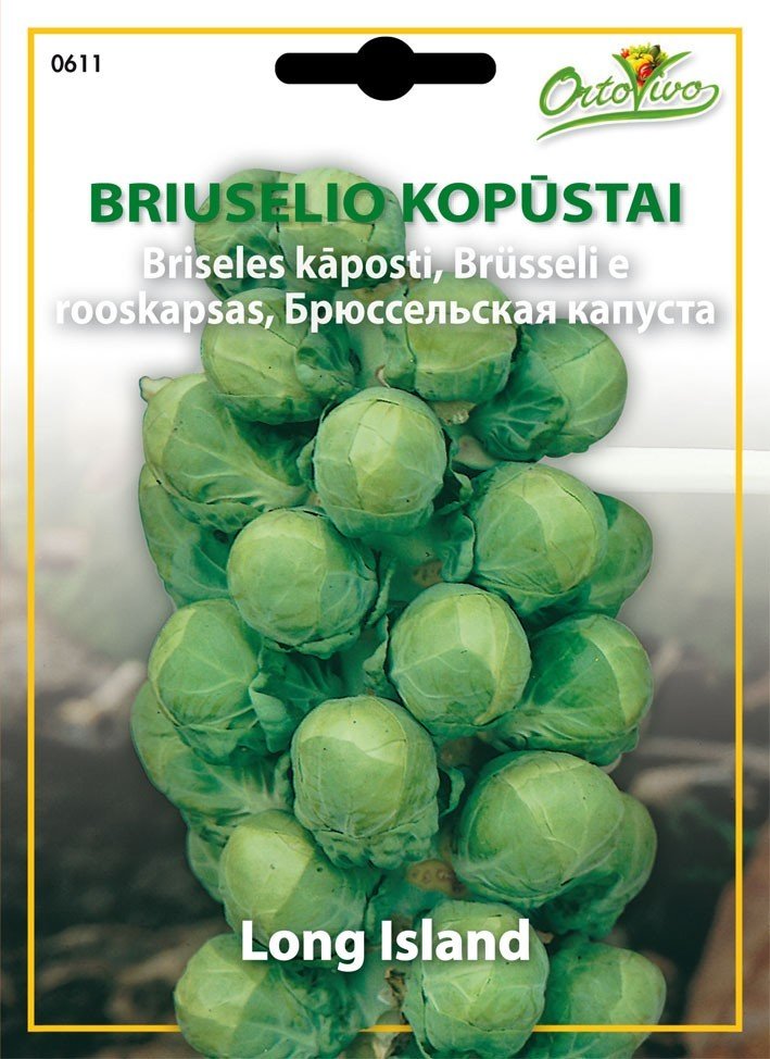 Briuselio kopūstų sėklos DI BRUXELLES LONG ISLANDS, 2,5 g