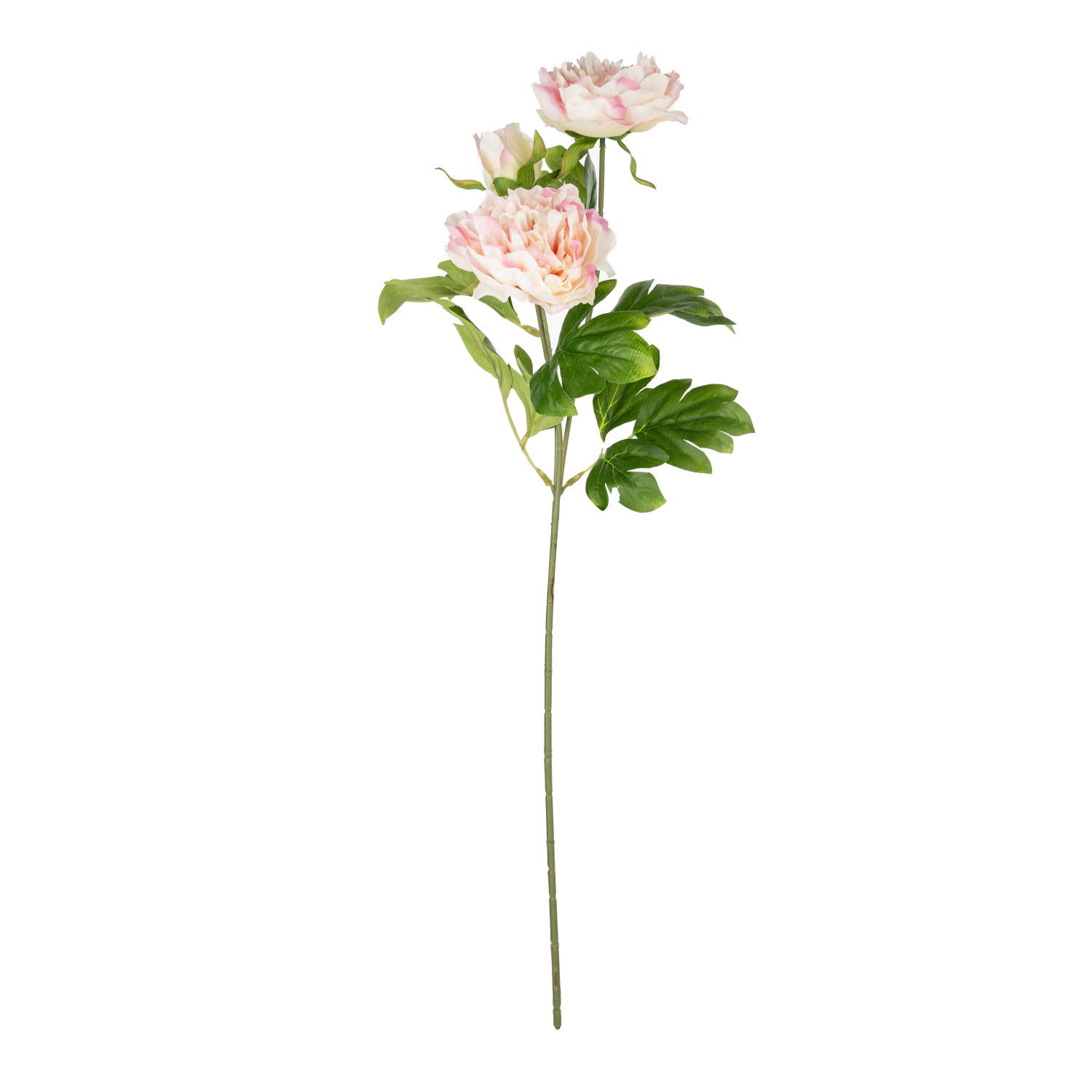 Dirbtinė gėlė ILAJA PEONY, 63 cm-2