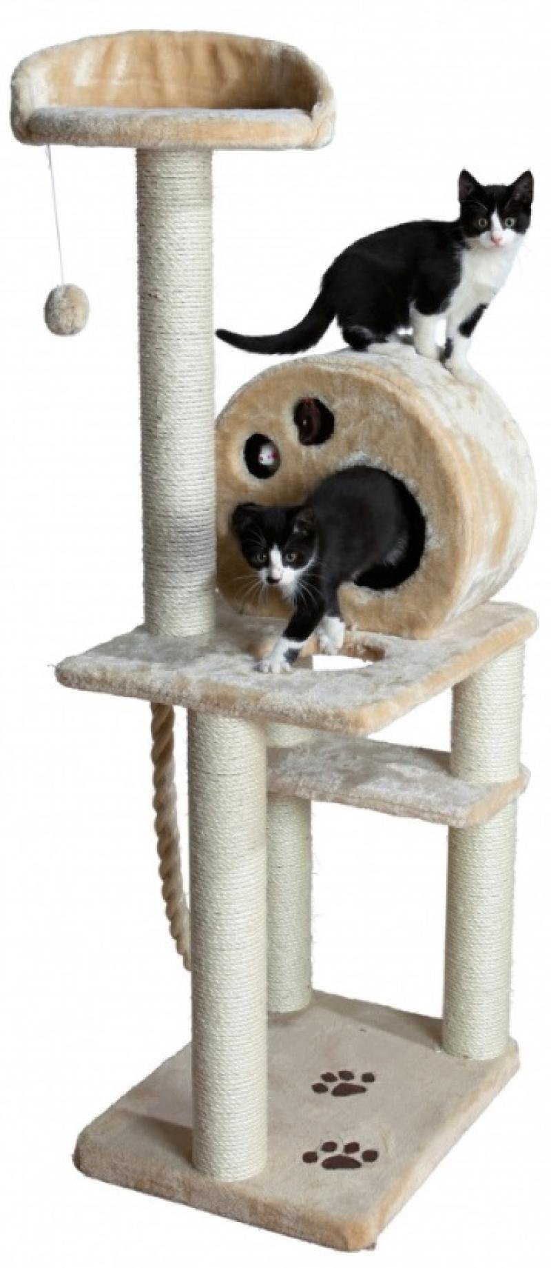 Draskyklė katėms SALAMANCA - smėlio spalvos, 138 cm