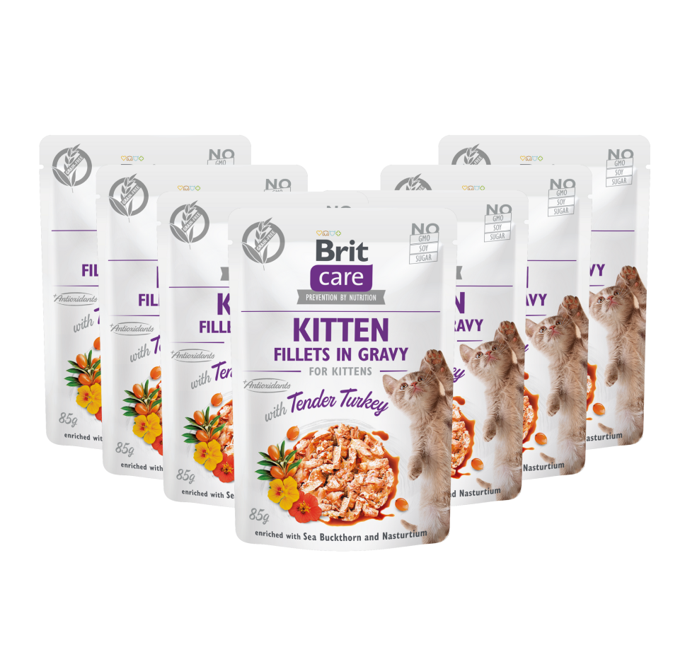 Konservuotas ėdalas katėms Brit Care Cat Kitten Fillets in Gravy Turkey, 85 g, 24 vnt.-0