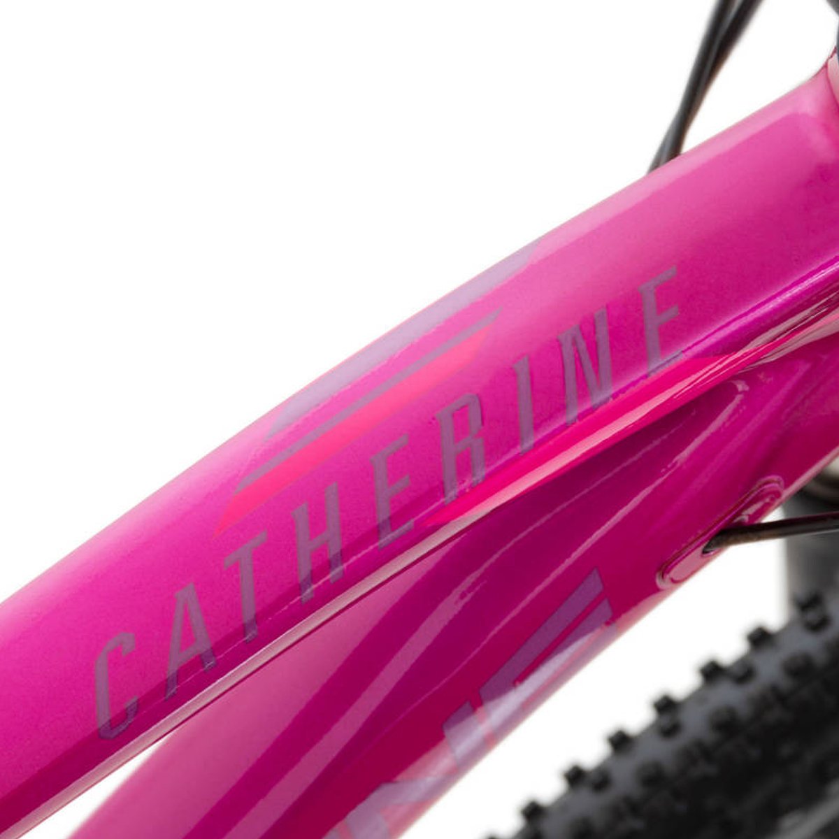 Kalnų dviratis Rock Machine Catherine 40-29, 29 ", rožinė - 4