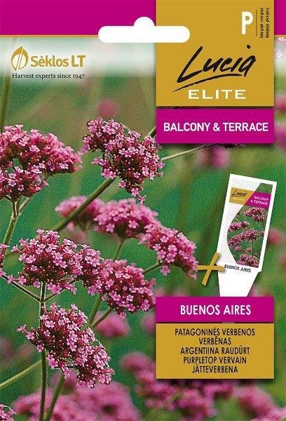 Patagoninių verbenų sėklos BUENOS AIRES, 0,1 g