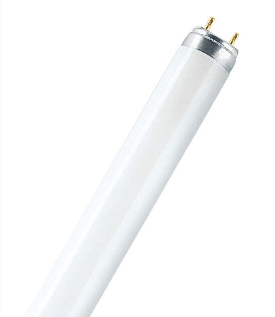 Liuminescencinė lempa OSRAM, 18 W, 1350 lm, 3000K, T8, 60 cm-0