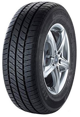 Fortuna Gowin VAN 215/65 R16 109 R