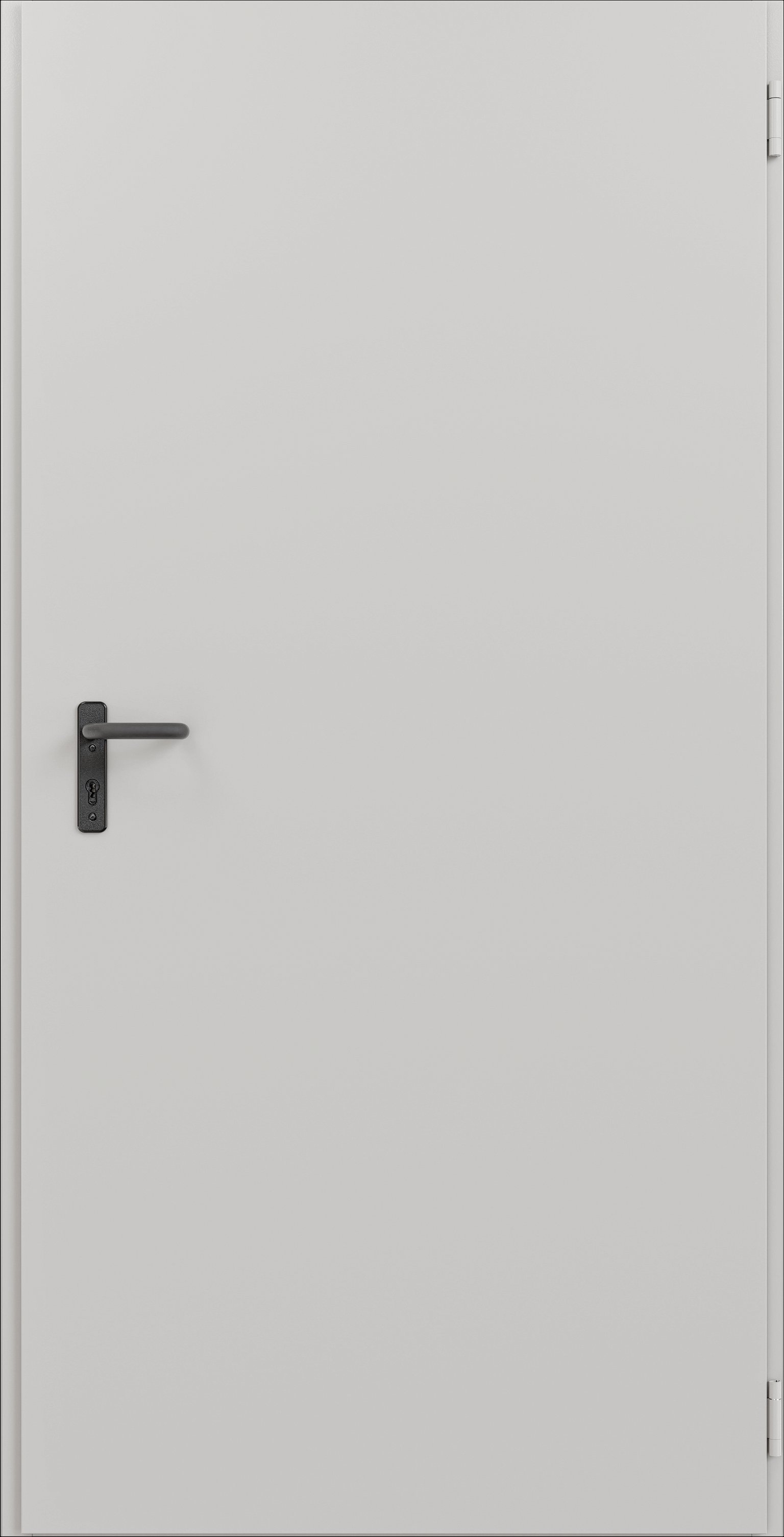 Plieninės durys RADEX TECHNIK, cinko sp., universalios, 926 x 2010 mm