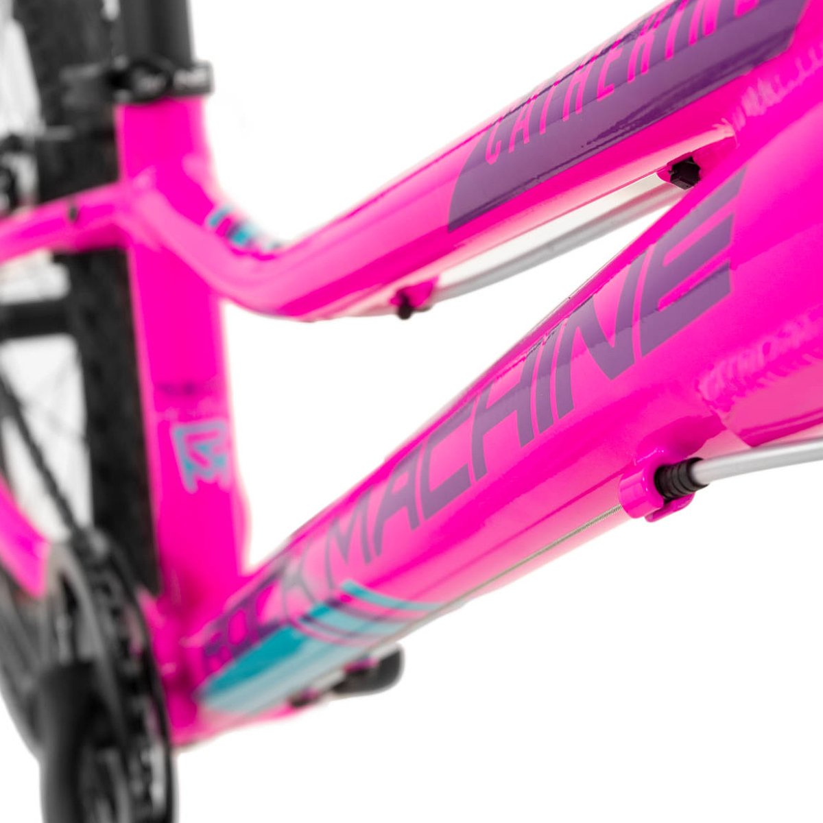 Vaikiškas dviratis Rock Machine Catherine 20, 20 ", rožinis - 5